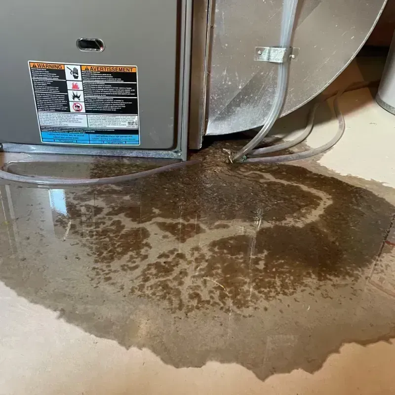 Appliance Leak Cleanup in Janesville, MN